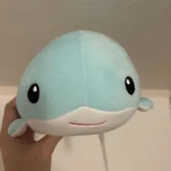 イルカのぬいぐるみ　タグ付き