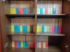 Item thumbnail for item 38e36135-8f26-4787-b517-f979cd39ef2e