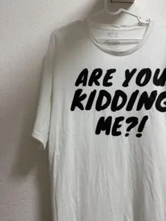 アメリカ古着　半袖Tシャツ　白シャツ　ビックサイズ　冗談