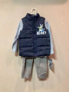 Item thumbnail for item ae728b36-288a-48cf-a741-02efb45b2434