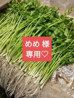 めめ 様 専用(*ˊ˘ˋ*)