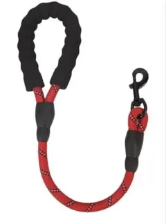 Item thumbnail for item 779f128d-78cc-447d-8843-dd5a8d5b17a2