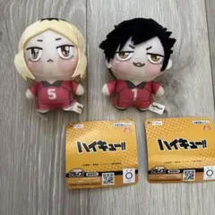 ハイキュー!! ちょぴぬいぷち2 孤爪研磨 黒尾鉄朗 セット ぬいぐるみ