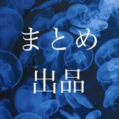 ののーるど様 リクエスト 2点 まとめ商品