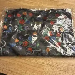 Item thumbnail for item 5049abf9-0267-4b1d-bbe0-d03aaa9b0a8a