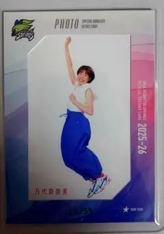 Item thumbnail for item 84ec9e5e-012f-4779-befb-a00f59e3817a