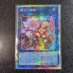 遊戯王ラッシュデュエル 光纏竜の卵 イラスト違いシークレット 1枚