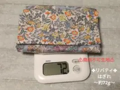 ハギレセット_28　✤リバティ✤　ピーターラビット　⚠商用不可