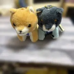 Item thumbnail for item 5b80baf9-6c35-4dc6-bbba-f389005f99b9