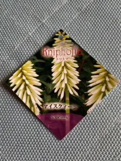 みーちゃん様 リクエスト 2点 まとめ商品