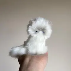 ぺろん　猫　ハンドメイド　ぬいぐるみ　作家　アートドール　テディベア　320b