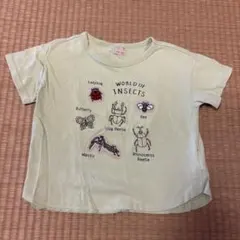 Item thumbnail for item 0a68bc09-a879-4e88-b4c4-c48e13419d2c