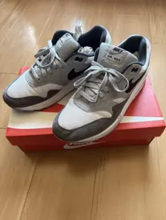 Nike Air Max グレー/ホワイト スニーカー