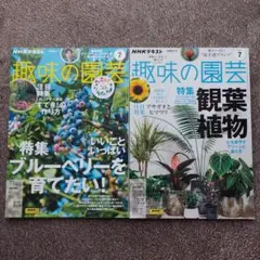 ゆうらん様 リクエスト 2点 まとめ商品