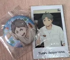 ハイキュー！！菅原 缶バッジとカードセット