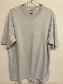 CalCru マイクロストライプ Tシャツ USA グレー サイズ：XL