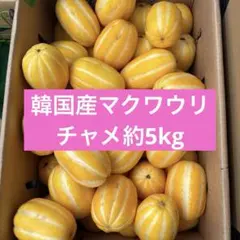 韓国産 マクワウリ チャメ 鮮度良好 クール便10キロ - メルカリ