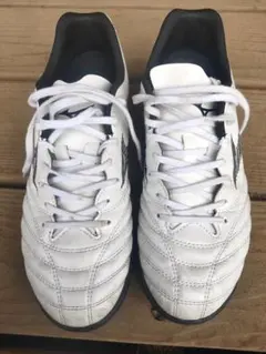 MONARCIDA NEO III SELECT AS