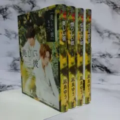 【ダブルカバー仕様】凪良ゆう　美しい彼　4冊セット ⑫