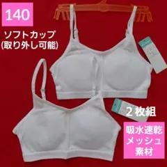 Item thumbnail for item d0842c53-071a-4051-b0b3-d5eb7bf48562