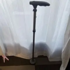 Item thumbnail for item 0c5e49d8-a7b1-49ac-95d4-330348b991aa