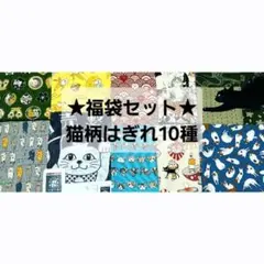 Item thumbnail for item 67248d1e-28ab-45ab-a3d8-b39796016af4