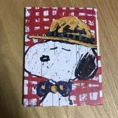 スヌーピー トムエバハート　レターセット