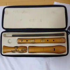 Item thumbnail for item a32c1617-f45c-428b-9cd8-30e4e3b3b788