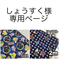 しょうすく様の専用ページです。