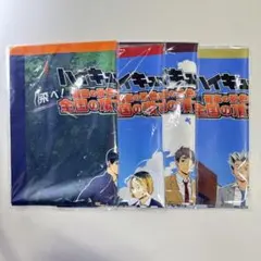 f*X様 ハイキュー‼︎ 飛べ！ 最高の景色を全国の頂で！ 布ポスター 全4種セ