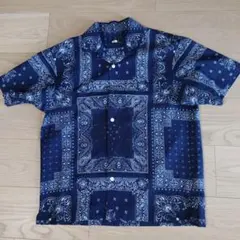 Item thumbnail for item 89274f34-ca14-414d-9ca9-0ee5d9bd987b