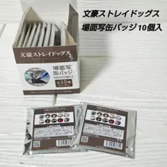 文豪ストレイドッグス 場面写缶バッジ 10個入 BOX ランダム アニメ グッズ