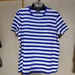Polo Ralph Lauren 青白ストライプ Tシャツ M
