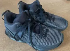 Item thumbnail for item 36e9bcb6-8cd4-4534-9194-7515cce08189