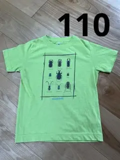 モンベル　Tシャツ　カブトムシ　昆虫　クワガタムシ　カミキリムシ