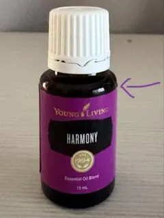 2026年最新】ワイエルハーモニーの人気アイテム - メルカリ