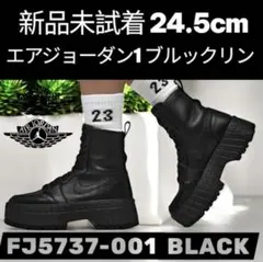 新品未試着 NIKE AIR JORDAN 1 BROOKLYN BLACK