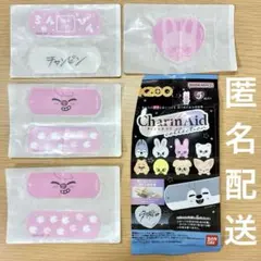 トェッキ CharmAid チャームエイド SKZOO