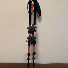 Item thumbnail for item b5377d31-b3ab-481a-8a13-2235654e48c9