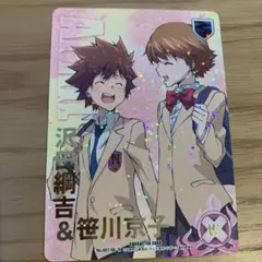 家庭教師ヒットマンREBORN！CCG沢田綱吉&笹川京子