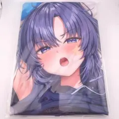 WHITE ALBUM2 幸せの向こう側 冬馬かずさ 抱き枕カバー C - メルカリ