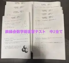 2025年最新】鉄緑会数Ⅲの人気アイテム - メルカリ