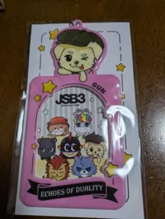 岩田剛典　フォトカードケース