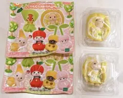 シルバニアファミリーどきどきコレクション赤ちゃんフルーツパーティラブラドール2個