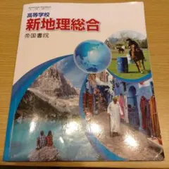 高等　教科書　地理　高等学校新地理総合
