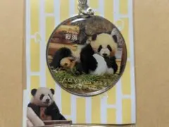 2026年最新】彩浜の人気アイテム - メルカリ