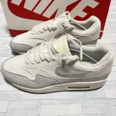 NIKE AIR MAX 1 SFR US12 ナイキ エアマックス1 サファリ