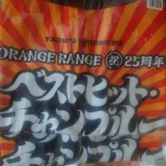2枚組　ORANGE RANGE 25周年 記念法被・はっぴ ベストチャンプルー