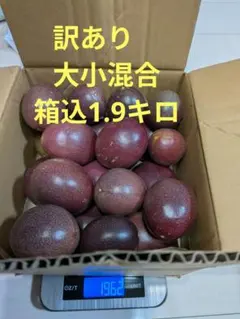 訳あり】沖縄県産パッションフルーツ3kg サイズ不揃い/企画外品