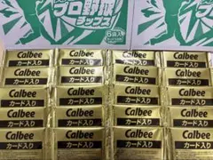 カルビープロ野球チップス第2弾 カード20袋